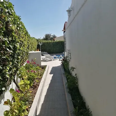 فيلة Oura V5